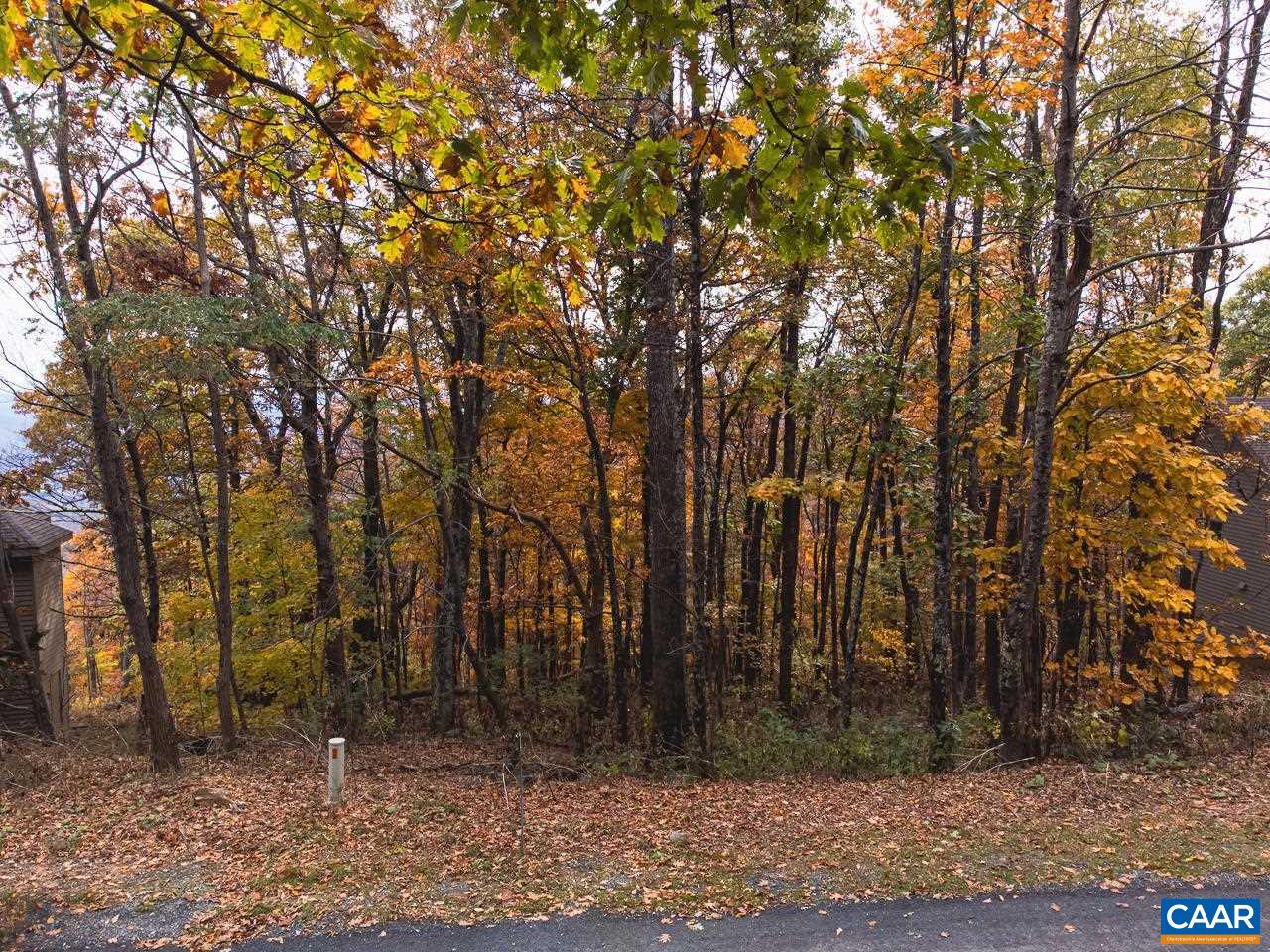 341 Chestnut Place Roseland, VA 22967 - Photo 2 of 24 a backyard of a house with lots of green space