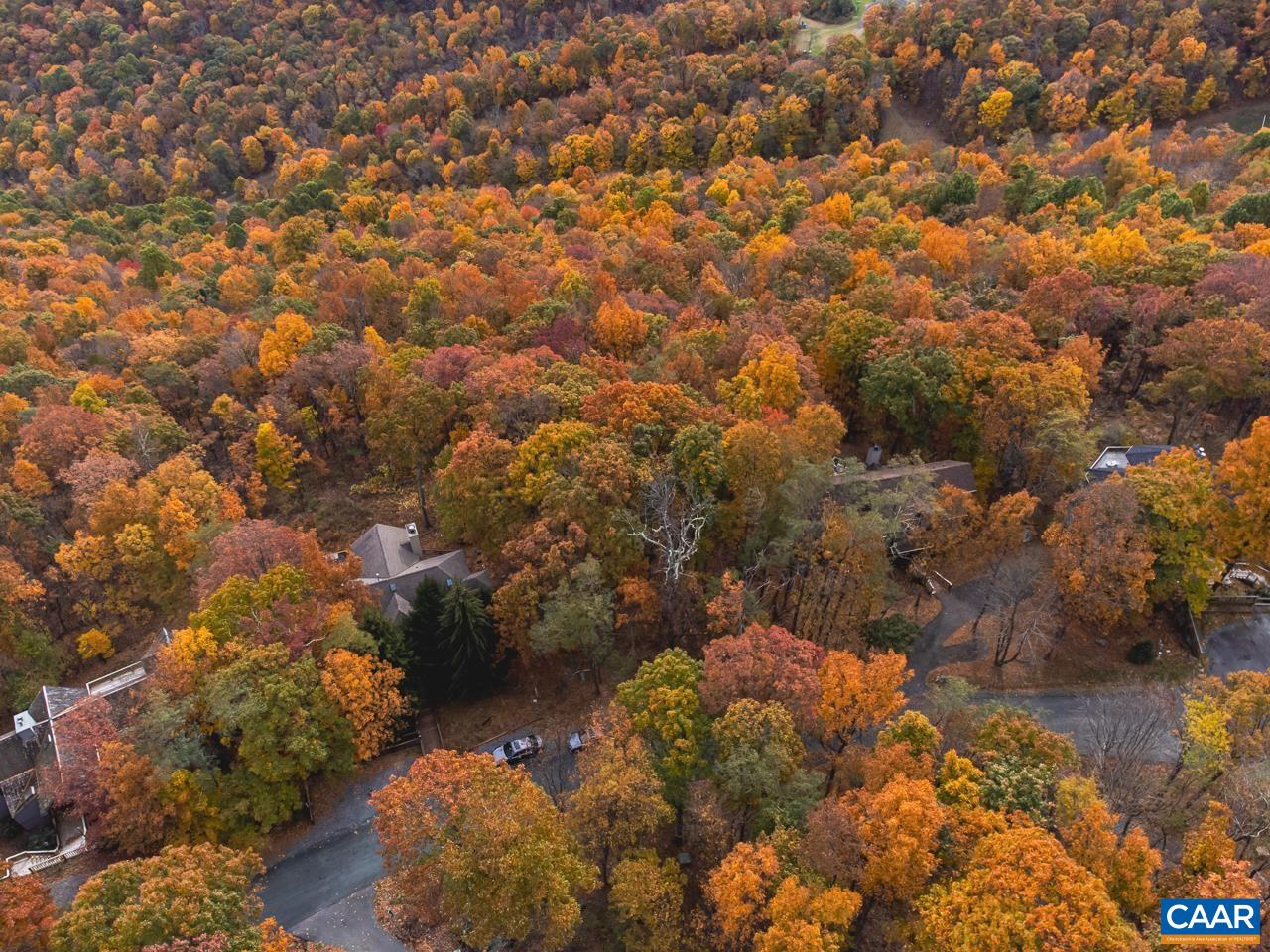 341 Chestnut Place Roseland, VA 22967 - Photo 21 of 24 a view of a lot of trees and houses