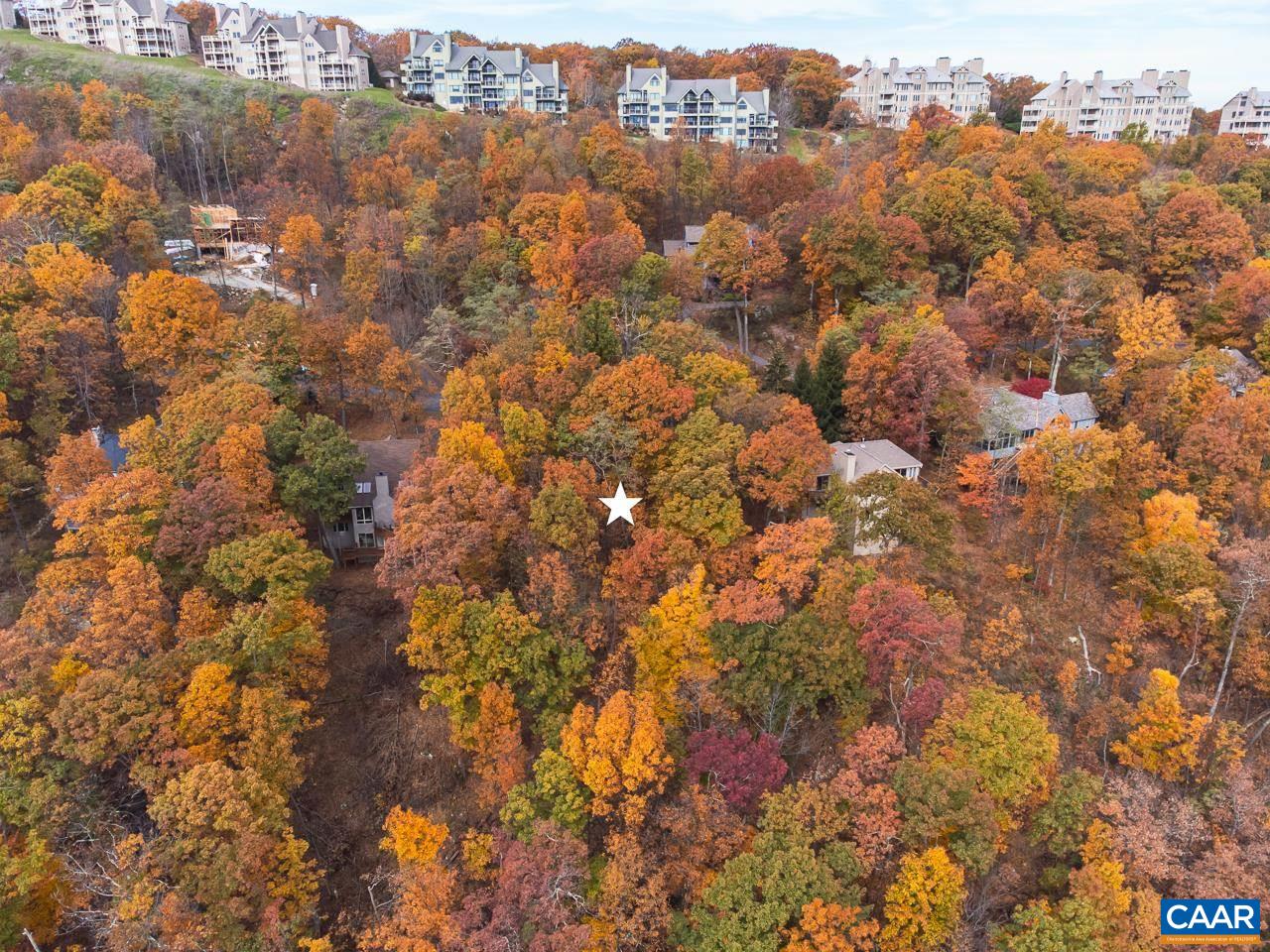 341 Chestnut Place Roseland, VA 22967 - Photo 8 of 24 an aerial view of residential houses with city view