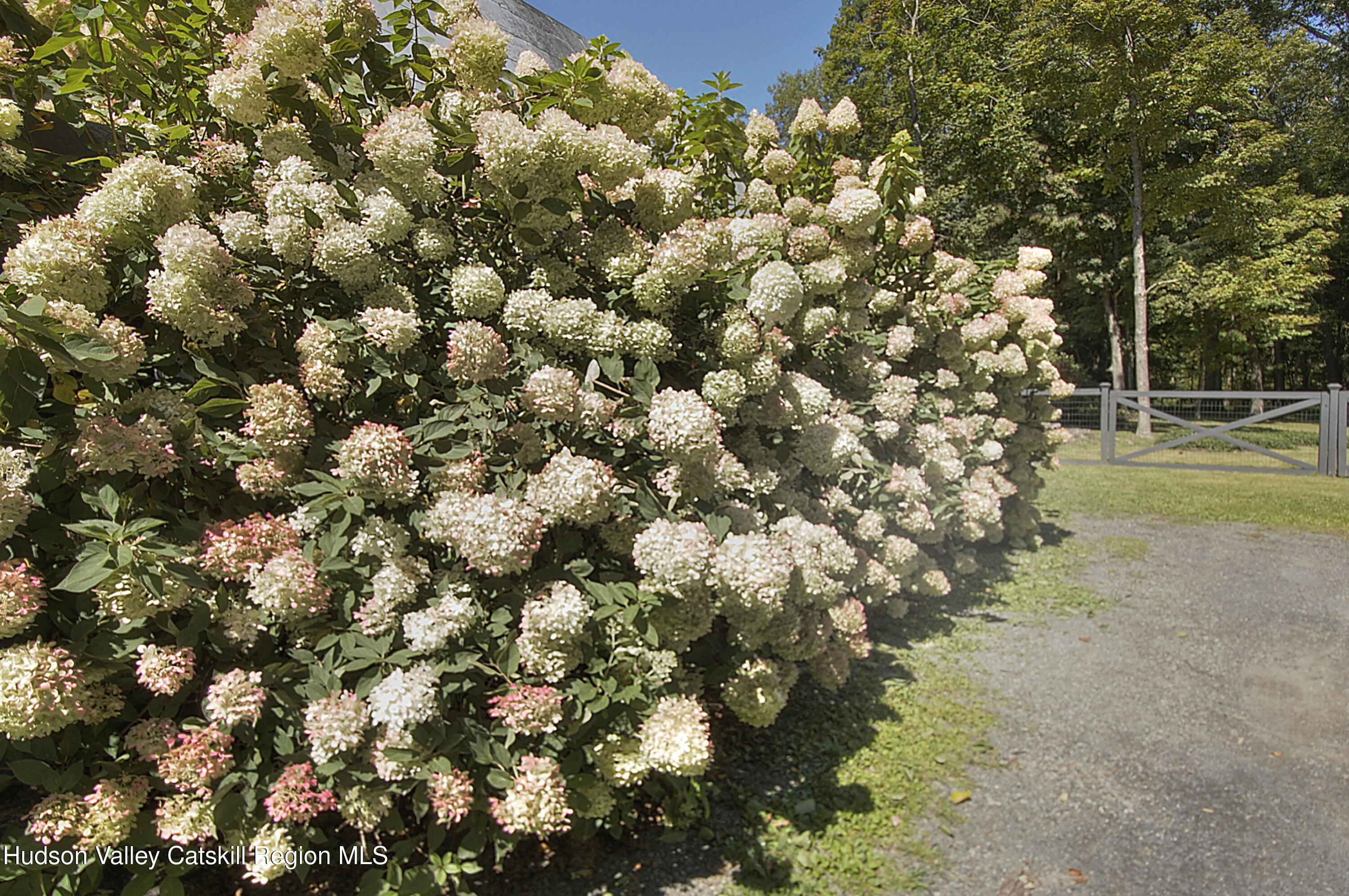 162 Mill Dam Road Stone Ridge, NY 12484 - Photo 36 of 46 12