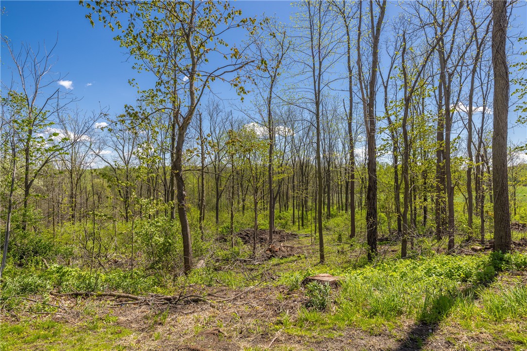 727 County Road 7 Manchester, NY 14432 - Photo 28 of 35