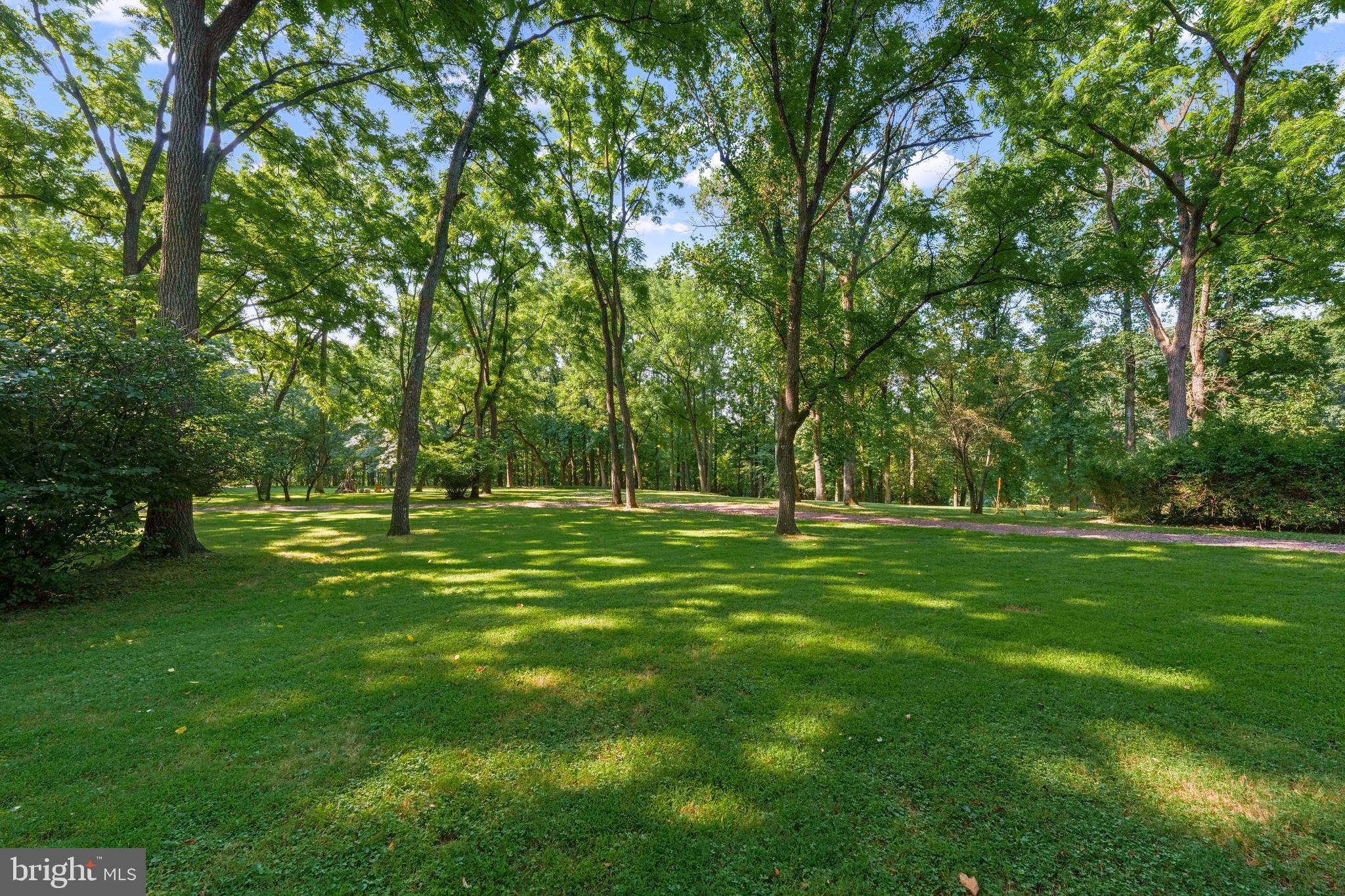 1543 Monk Road, Unit 5 Gladwyne, PA 19035 - Photo 3 of 16