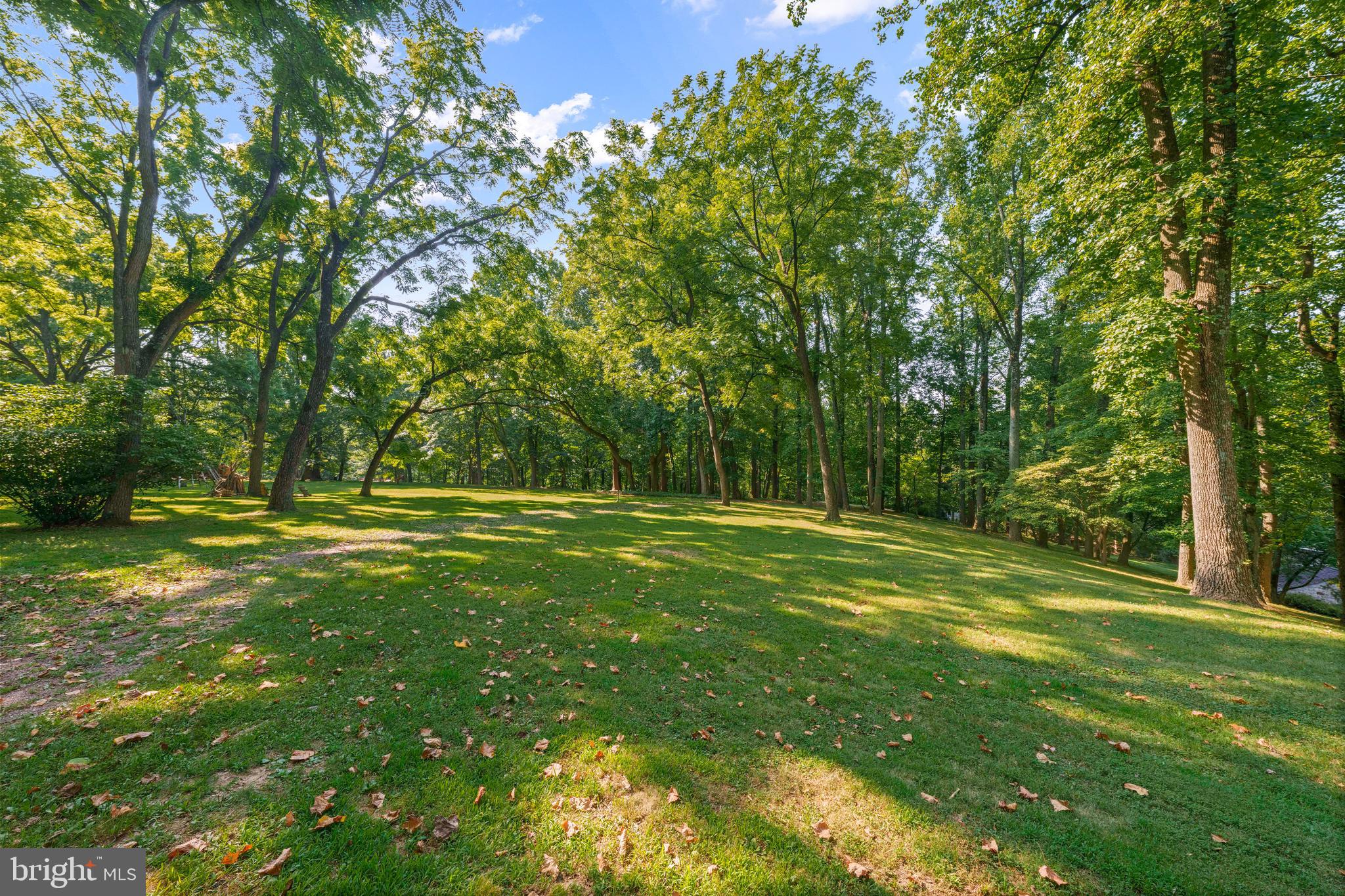 1543 Monk Road, Unit 5 Gladwyne, PA 19035 - Photo 4 of 16