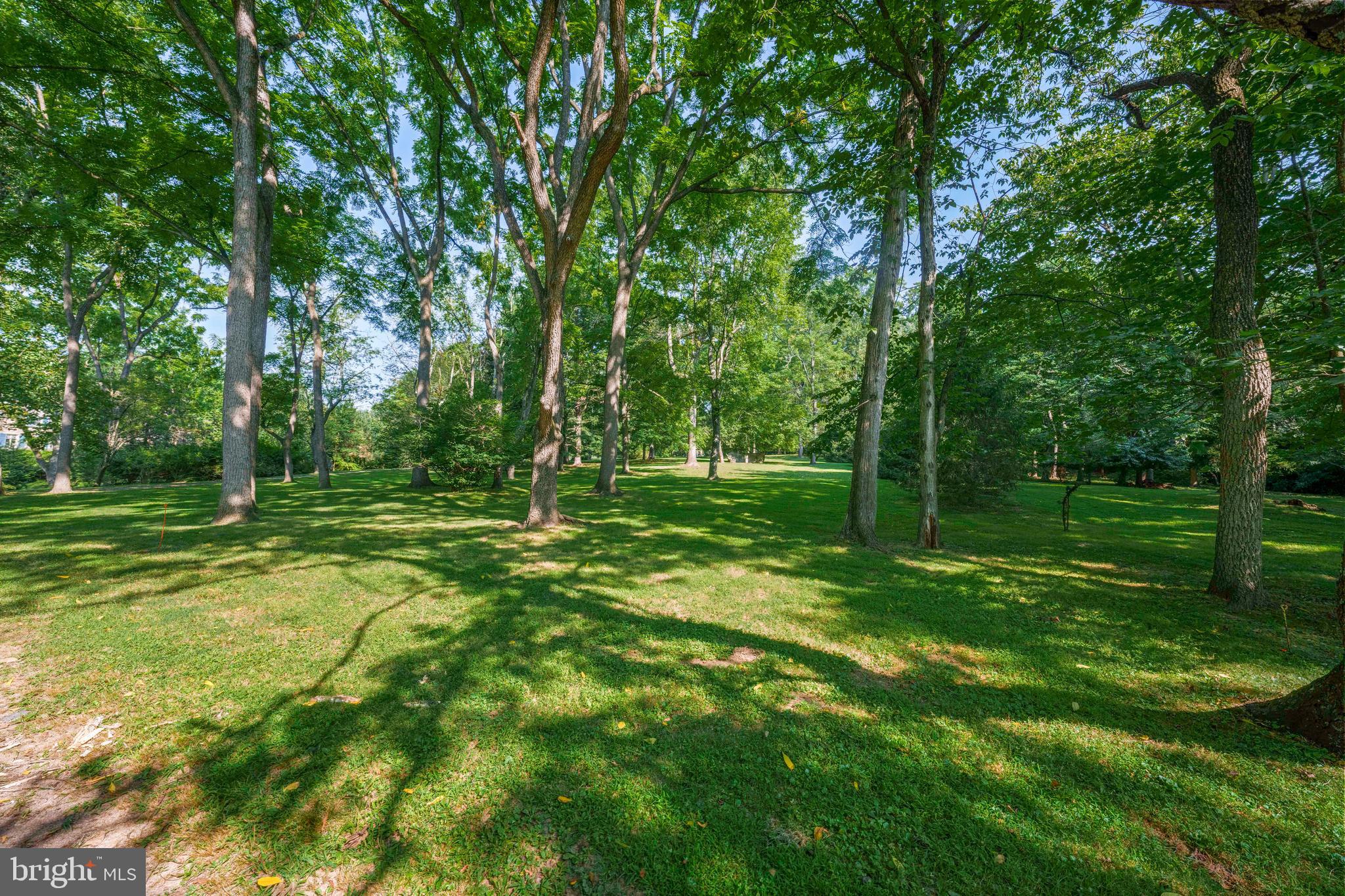 1543 Monk Road, Unit 5 Gladwyne, PA 19035 - Photo 6 of 16