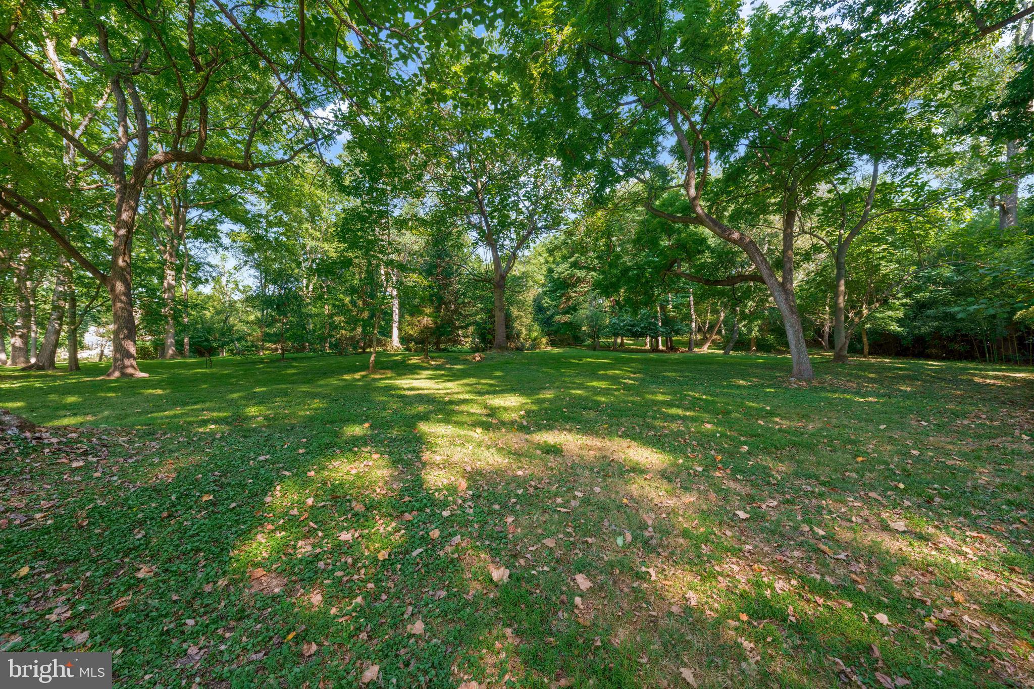 1543 Monk Road, Unit 5 Gladwyne, PA 19035 - Photo 8 of 16