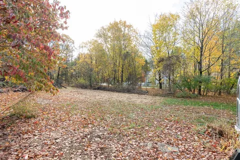 a view of outdoor space with trees