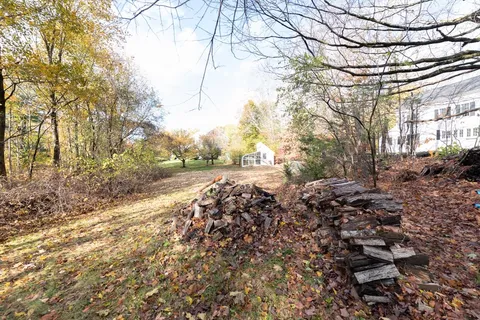 a view of a yard with a tree