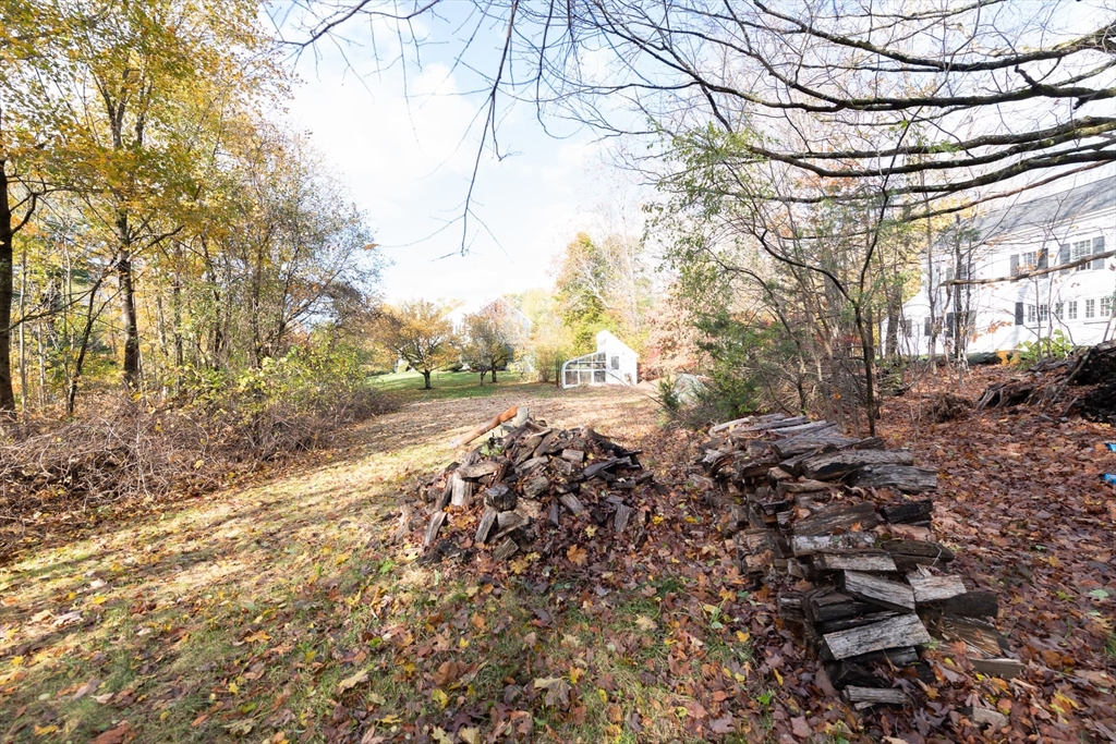 3 October Lane Weston, MA 02493 - Photo 13 of 32 a view of a yard with a tree
