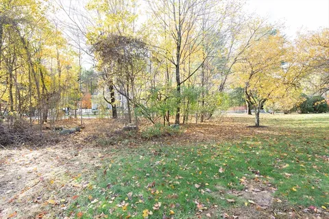 a view of yard with trees