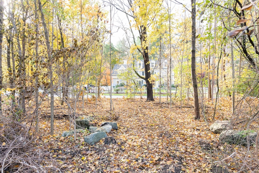 3 October Lane Weston, MA 02493 - Photo 16 of 32 a view of yard with trees