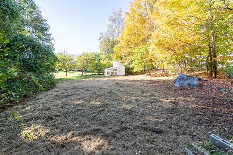 a view of a yard with a tree