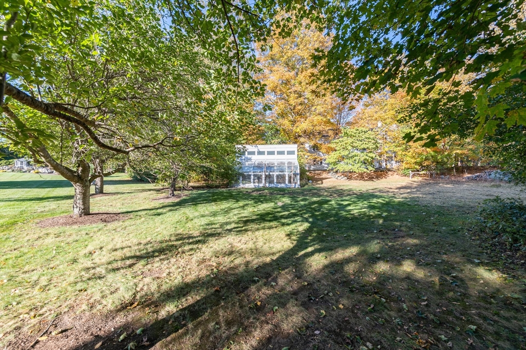 3 October Lane Weston, MA 02493 - Photo 20 of 32 a view of a yard with plants and trees