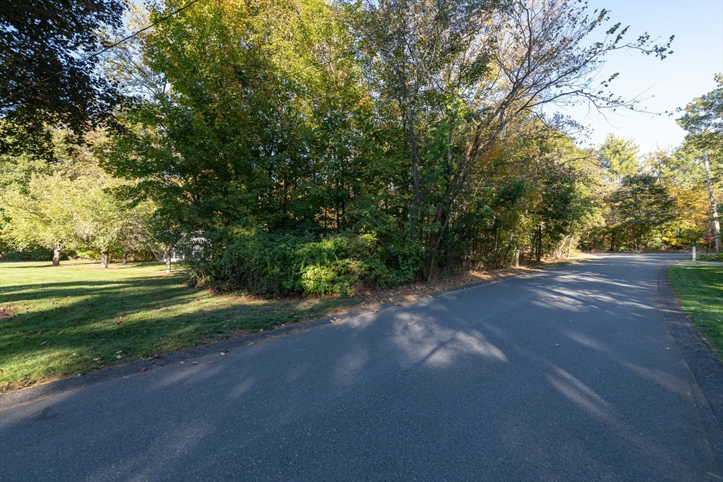 3 October Lane Weston, MA 02493 - Photo 2 of 32 a view of a yard with large trees