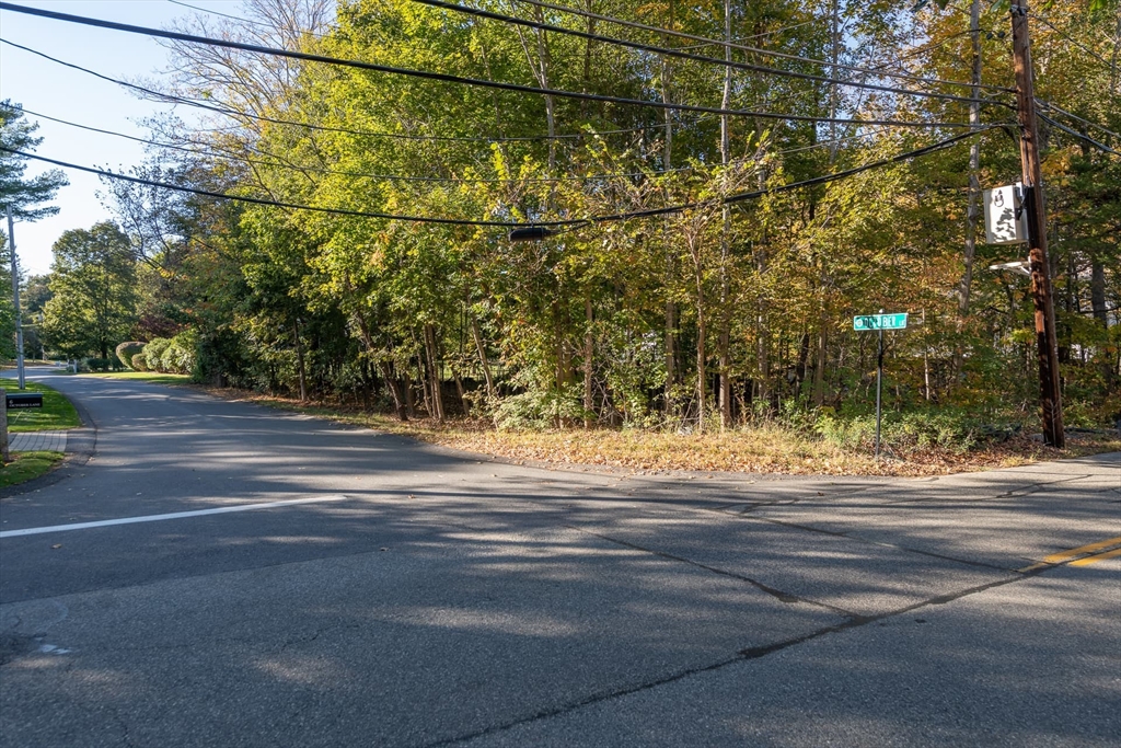 3 October Lane Weston, MA 02493 - Photo 22 of 32 a view of a yard and a building