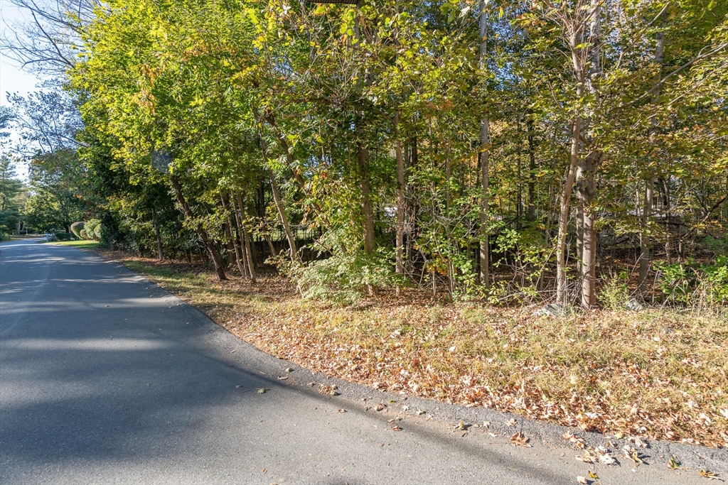 3 October Lane Weston, MA 02493 - Photo 23 of 32 a view of a yard with a tree