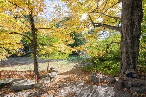 a view of a trees and yard