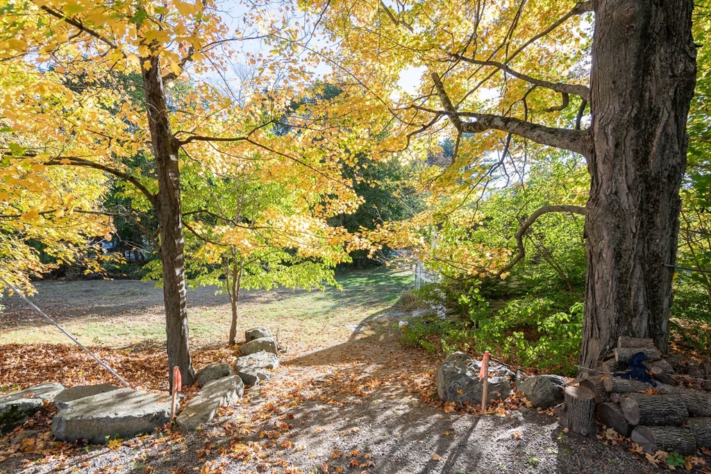 3 October Lane Weston, MA 02493 - Photo 24 of 32 a view of a trees and yard