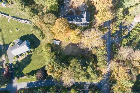 a view of a yard with plants and a bench