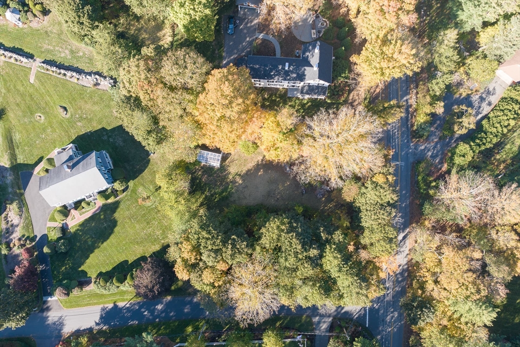 3 October Lane Weston, MA 02493 - Photo 26 of 32 a view of a yard