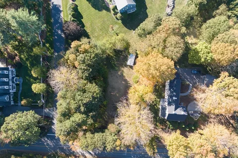 a view of a yard with plants and large trees