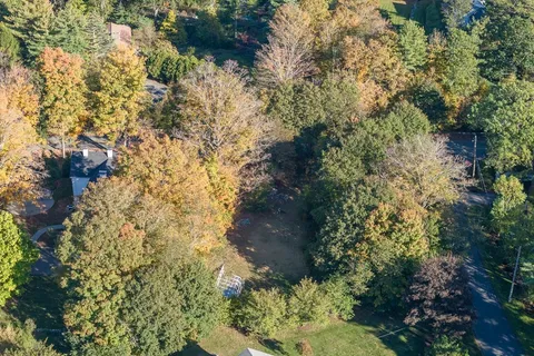 a view of a tree with a yard
