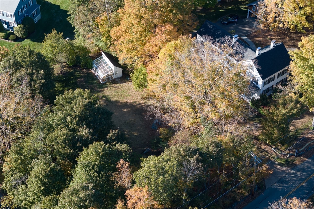3 October Lane Weston, MA 02493 - Photo 29 of 32 a view of a yard with plants and large trees