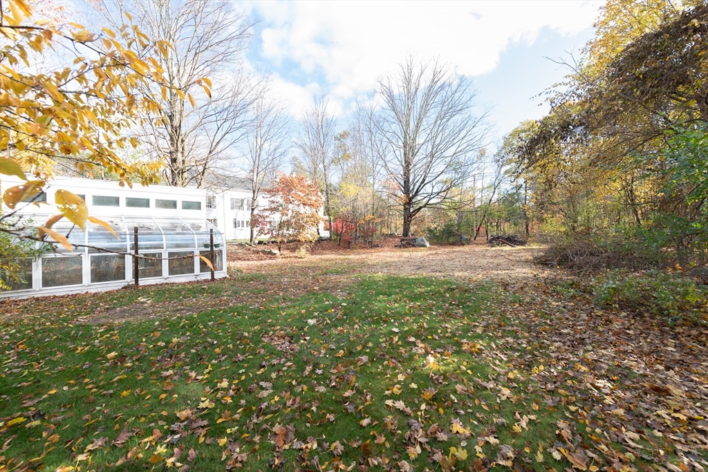 3 October Lane Weston, MA 02493 - Photo 3 of 32 a backyard of a house with large trees and plants