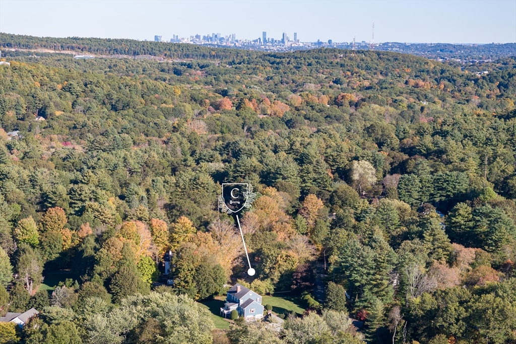 3 October Lane Weston, MA 02493 - Photo 4 of 32 a view of a city