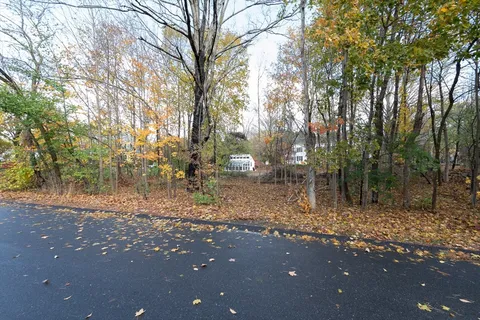 a backyard of a house with lots of green space and trees
