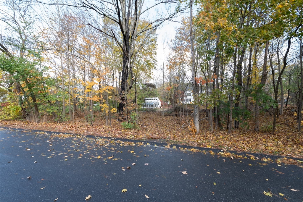 3 October Lane Weston, MA 02493 - Photo 6 of 32 a backyard of a house with lots of green space and trees