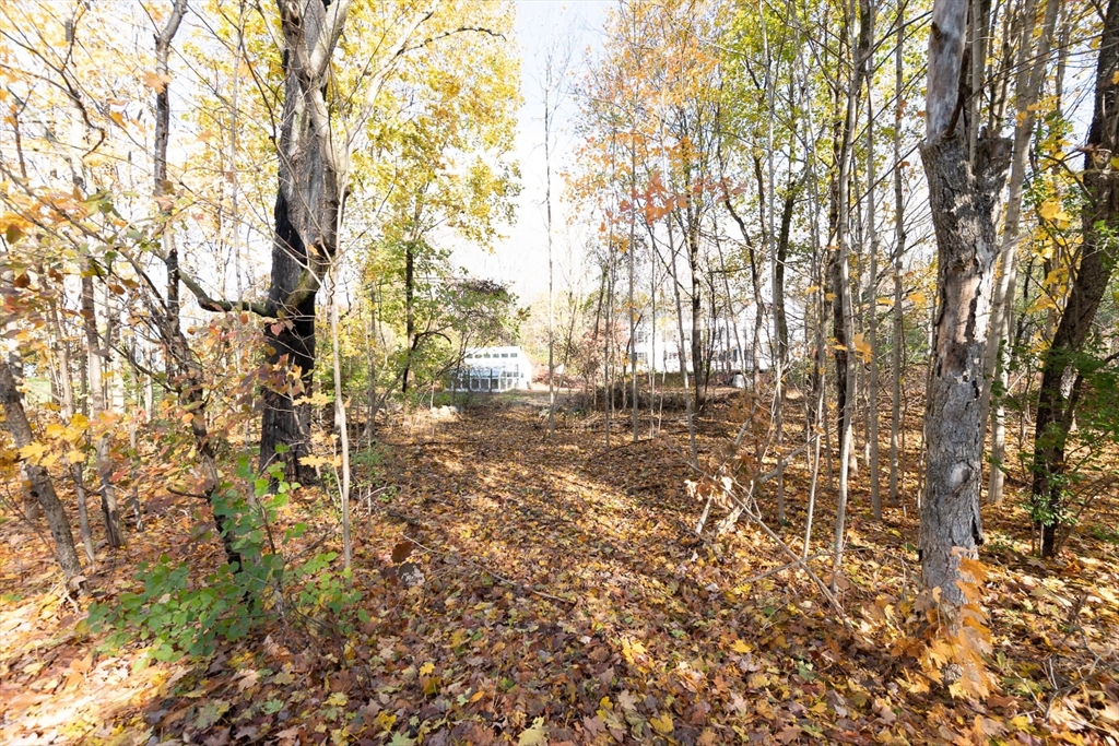 3 October Lane Weston, MA 02493 - Photo 7 of 32 a view of yard