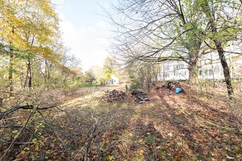 a view of a yard with plants and trees