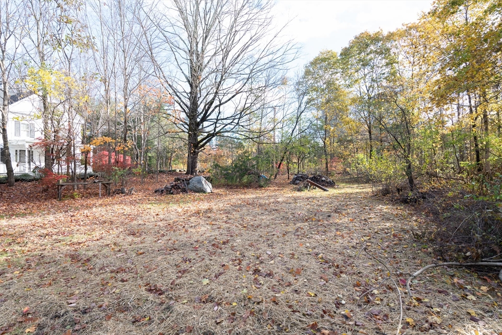 3 October Lane Weston, MA 02493 - Photo 10 of 32 a view of empty yard with trees
