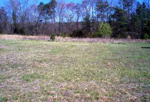 122 Wilson Creek Road Iva, SC 29655 - Photo 3 of 5