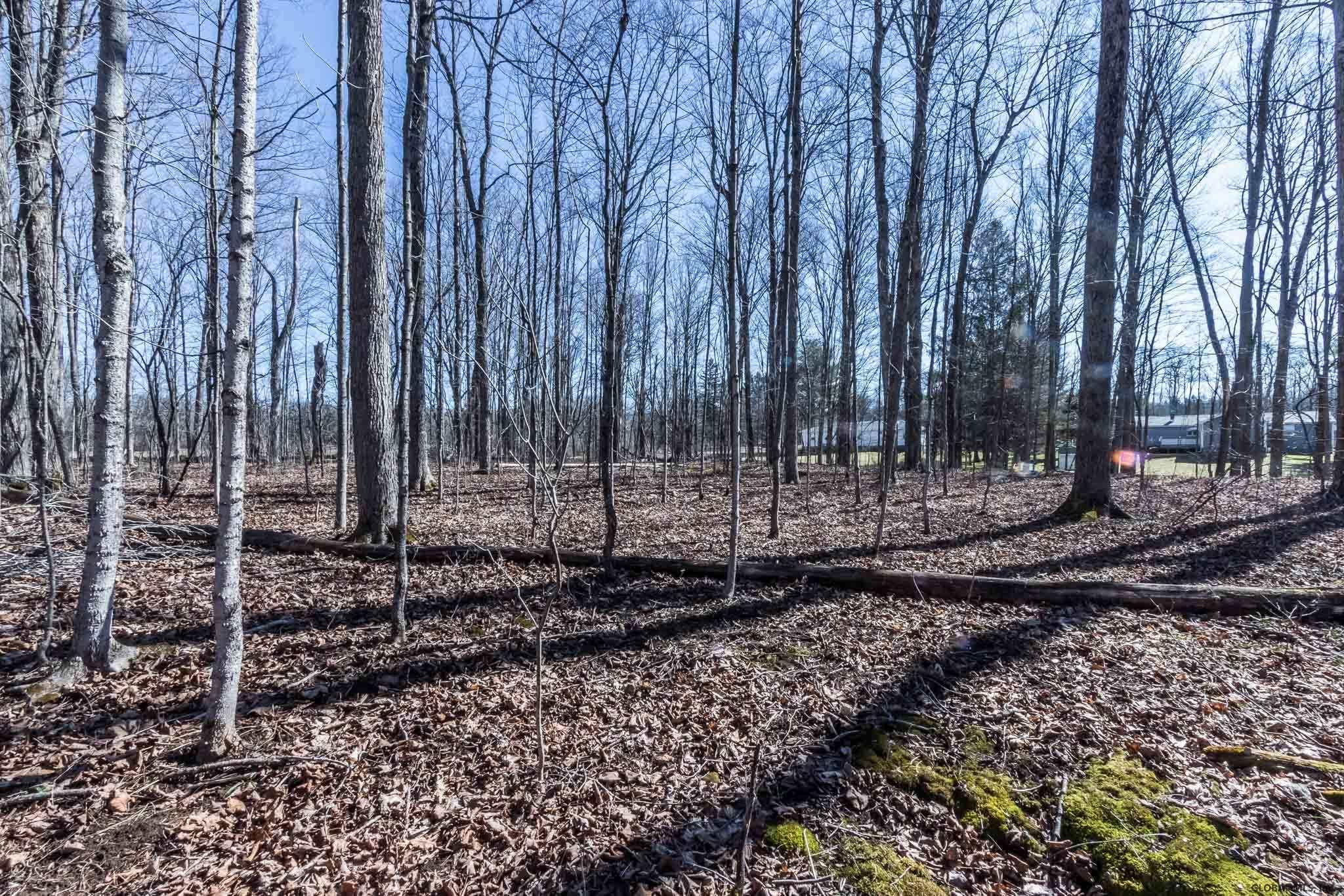 2703 Touareuna Road Glenville, NY 12010 - Photo 27 of 28 Photo 27