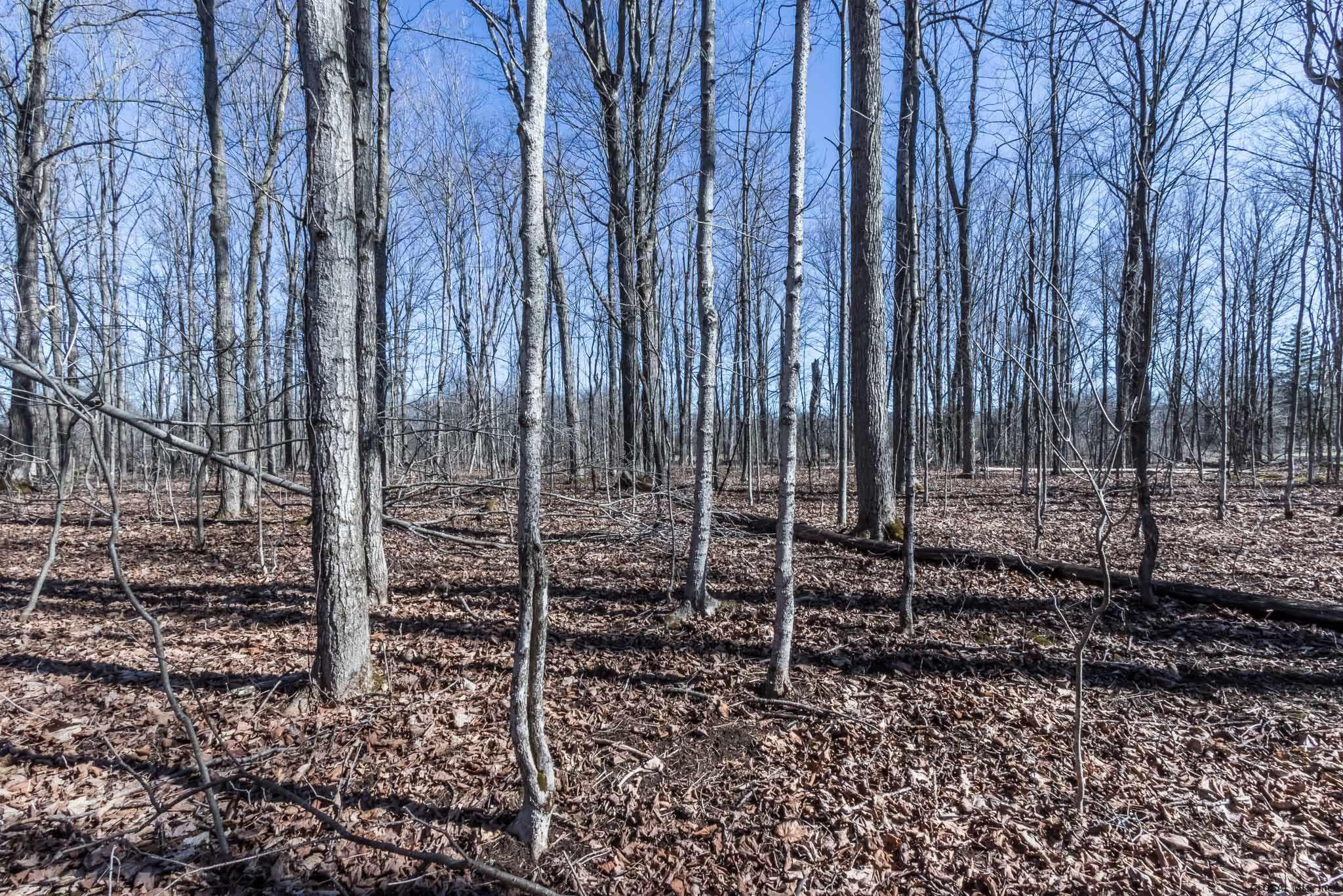 2703 Touareuna Road Glenville, NY 12010 - Photo 28 of 28 Photo 28