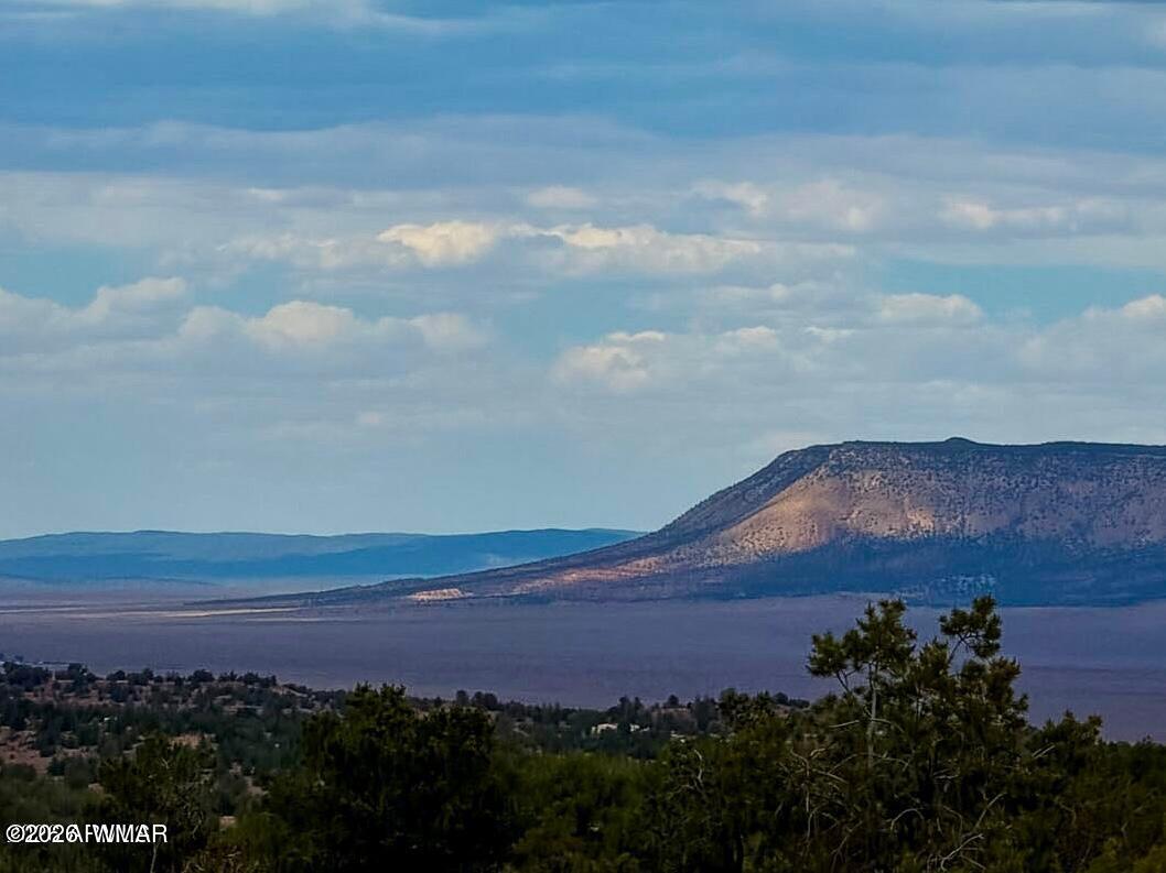 34962 West Hidalgo Road Seligman, AZ 86337 - Photo 23 of 28