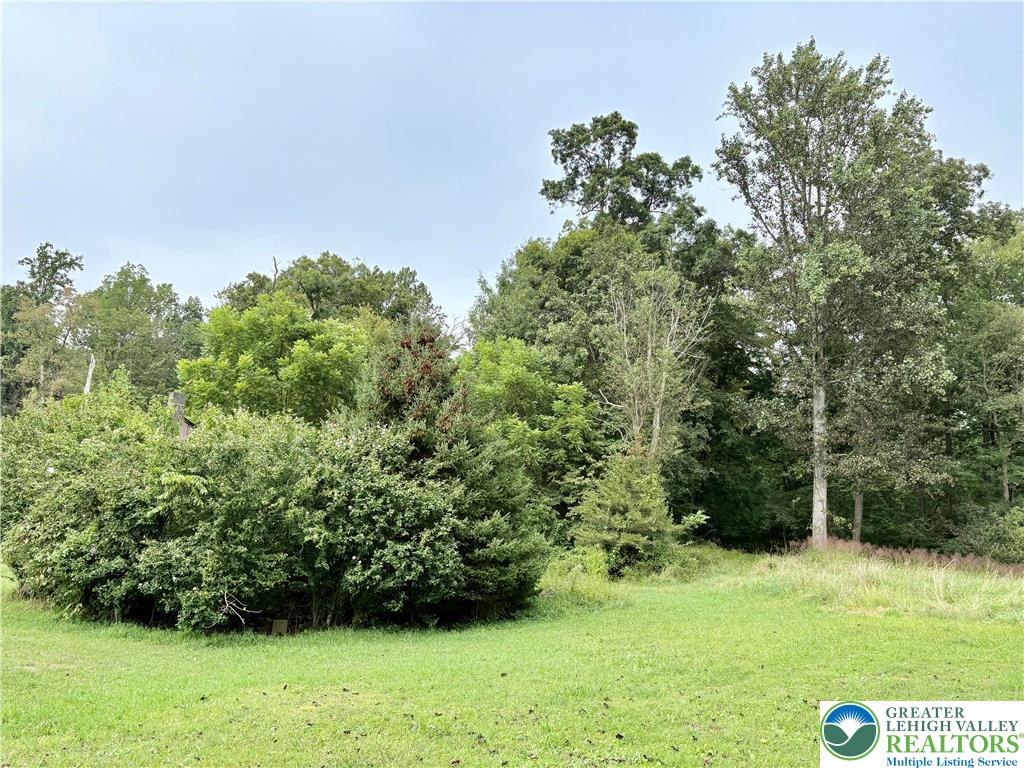 257 Dale Road Barto, PA 19504 - Photo 14 of 19 Gallery Image 14