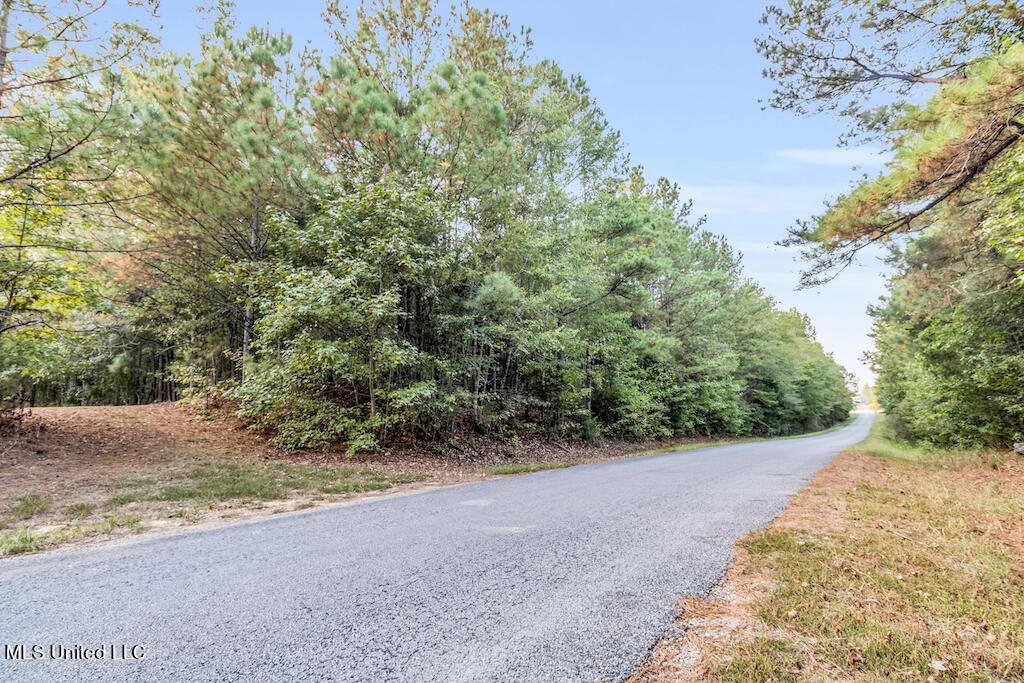 Lot 6 Mac Pate Rd Point Cedarbluff, MS 39741 - Photo 2 of 13 IMG_0101