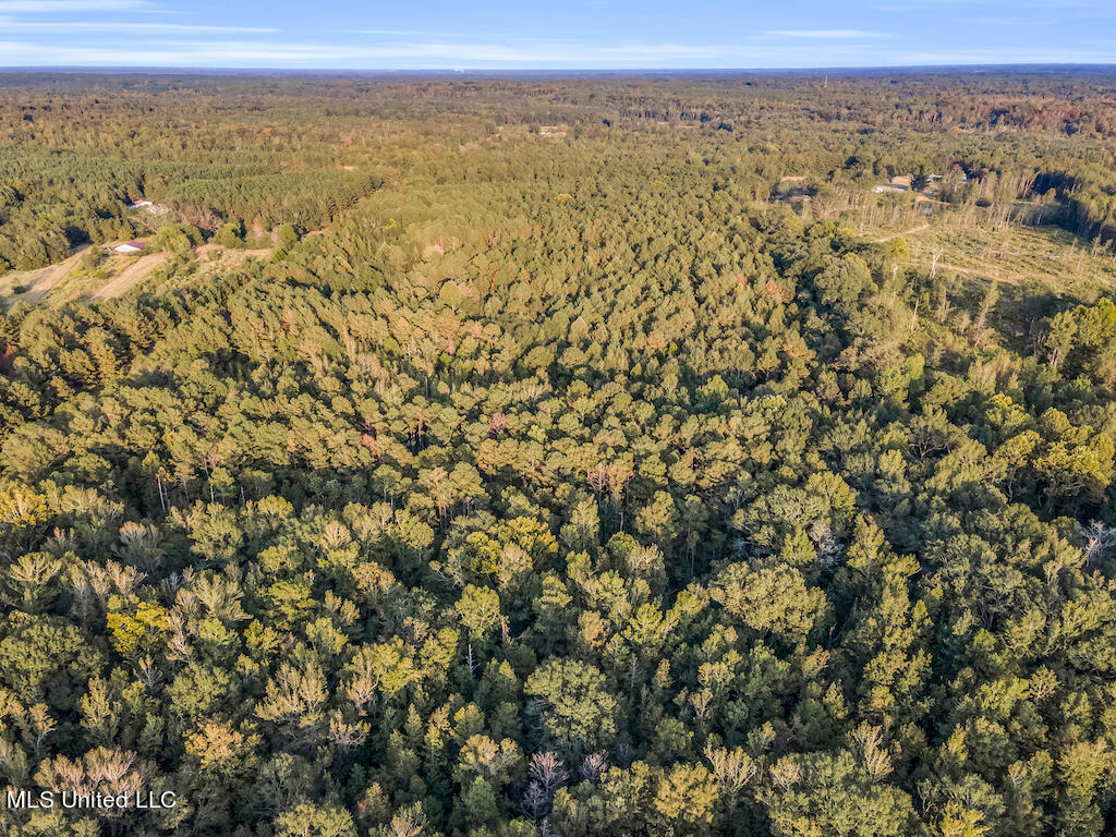 Lot 6 Mac Pate Rd Point Cedarbluff, MS 39741 - Photo 3 of 13 DJI_0945