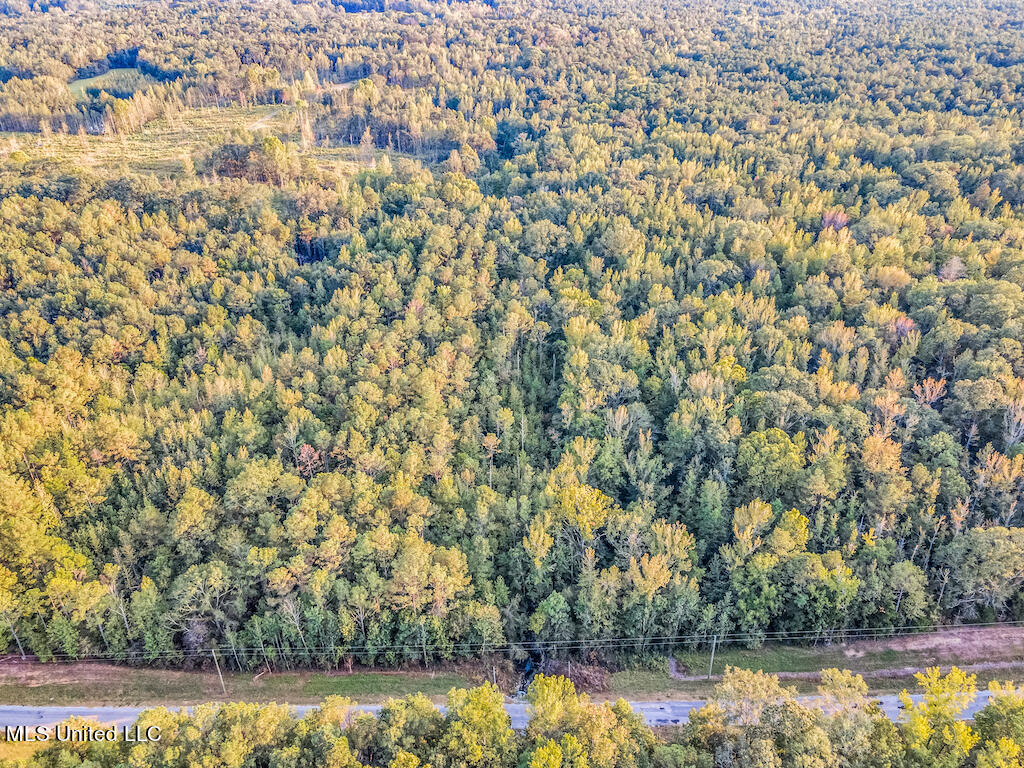 Lot 6 Mac Pate Rd Point Cedarbluff, MS 39741 - Photo 4 of 13 DJI_0948