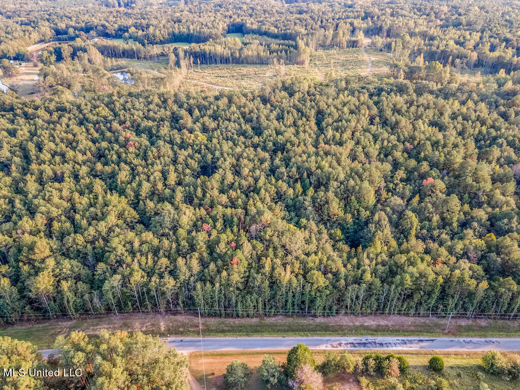 Lot 6 Mac Pate Rd Point Cedarbluff, MS 39741 - Photo 5 of 13 DJI_0954