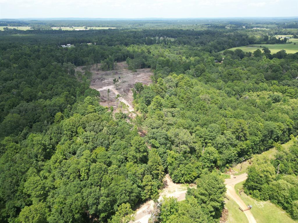 Tbd Flamingo Road Gilmer, TX 75645 - Photo 1 of 1 Gallery Image 1