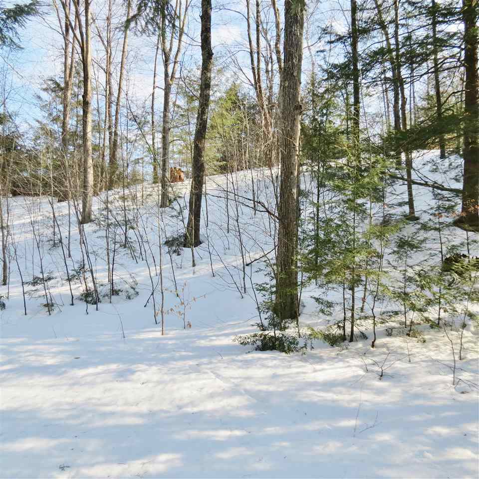 0 Red Bridge Road Ludlow, VT 05149 - Photo 22 of 29 Gallery Image 22