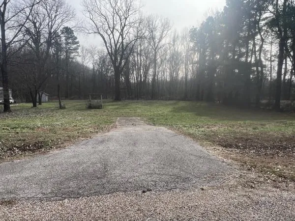 a view of a yard with trees