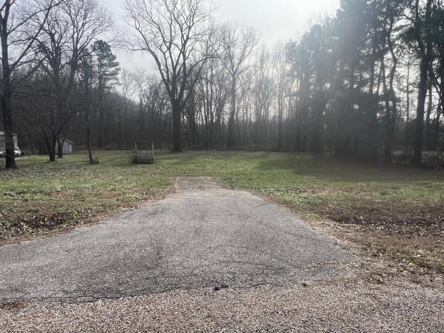 a view of a yard with trees