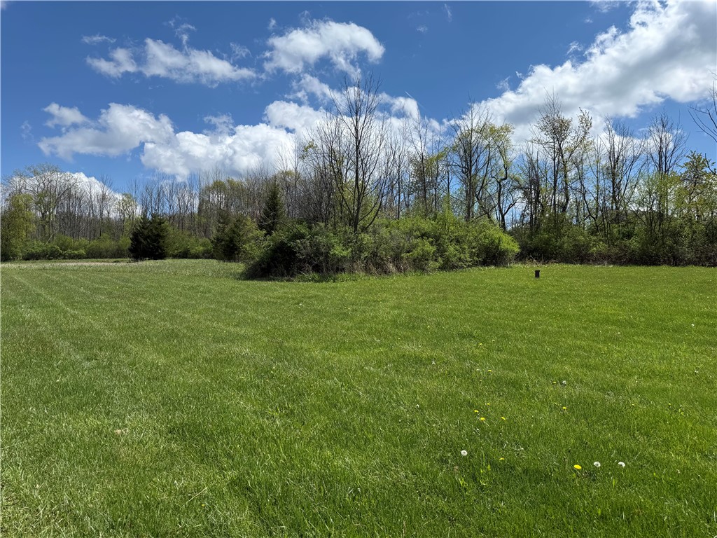 8611 Oakland Road Portage, NY 14517 - Photo 31 of 37