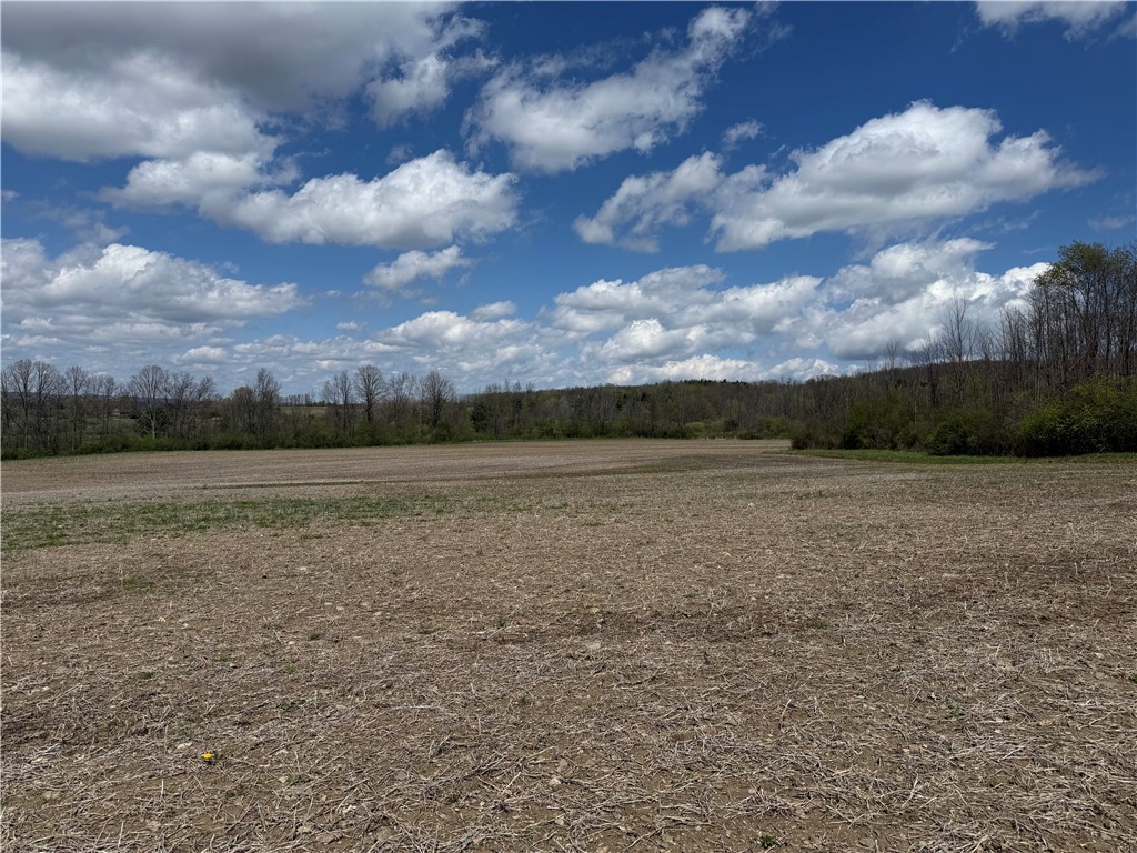 8611 Oakland Road Portage, NY 14517 - Photo 33 of 37