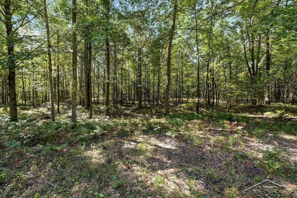 West Olson Road Midland, MI 48657 - Photo 20 of 44 Gallery Image 20
