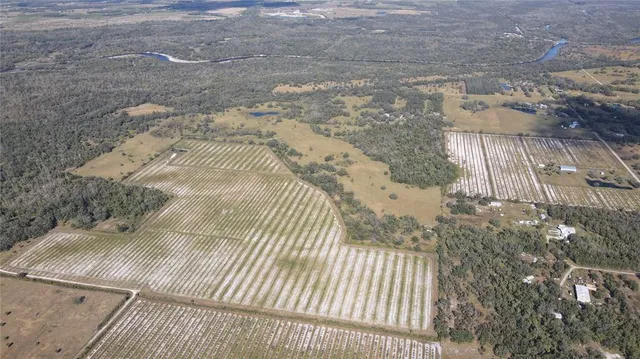a view of wooden floor